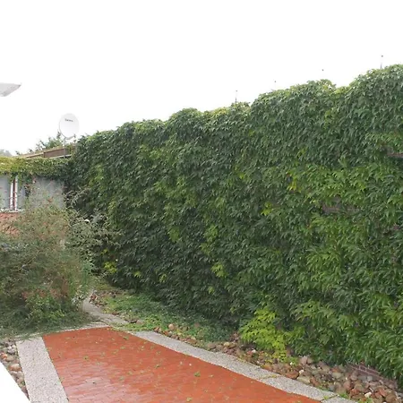 Ostseeappartement K014 브라질린